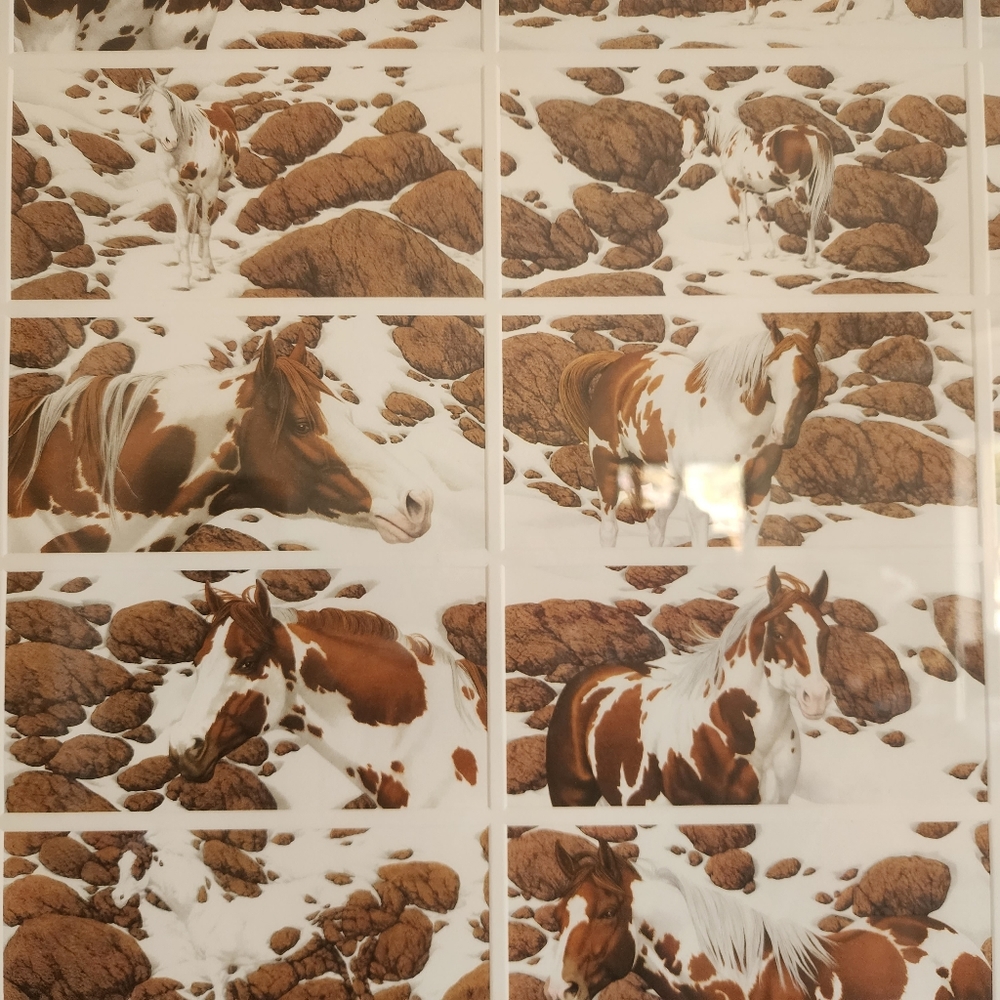 Bev Doolittle hide and seek prints